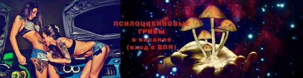 гидра Саяногорск