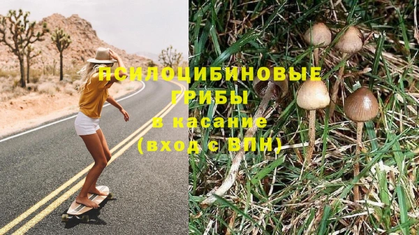 прущие крисы Балабаново